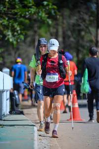 BIB: 9172, 
                            <button type="button" onclick="openModal(19222049)" class="btn btn-primary btn-sm float-right btn-popup" data-toggle="modal" data-target=".modal-high-quality">
                        <i class="fas fa-shopping-cart"></i> Add to Cart
                    </button>
                                            <button type="button" onclick="isThisMe(19222049, true)" class="btn btn-success btn-sm float-right btn-popup btn-isme hidden" data-toggle="tooltip" data-placement="bottom" title="นี่คือรูปของคุณใช่ไหม คลิกที่นี่เพื่อเอาเข้าอัลบั้ม">
                        <i class="fas fa-plus"></i> Add to album
                    </button>
                    <button type="button" onclick="isThisMe(19222049, false)" class="btn btn-warning btn-sm float-right btn-popup btn-isnotme hidden">
                        <i class="fas fa-ban"></i> Remove from album
                    </button>